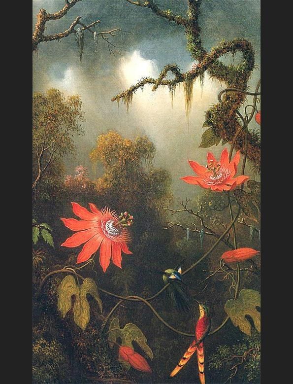 Martin Johnson Heade Two Hummingbirds Perched on Passion Flower Vines